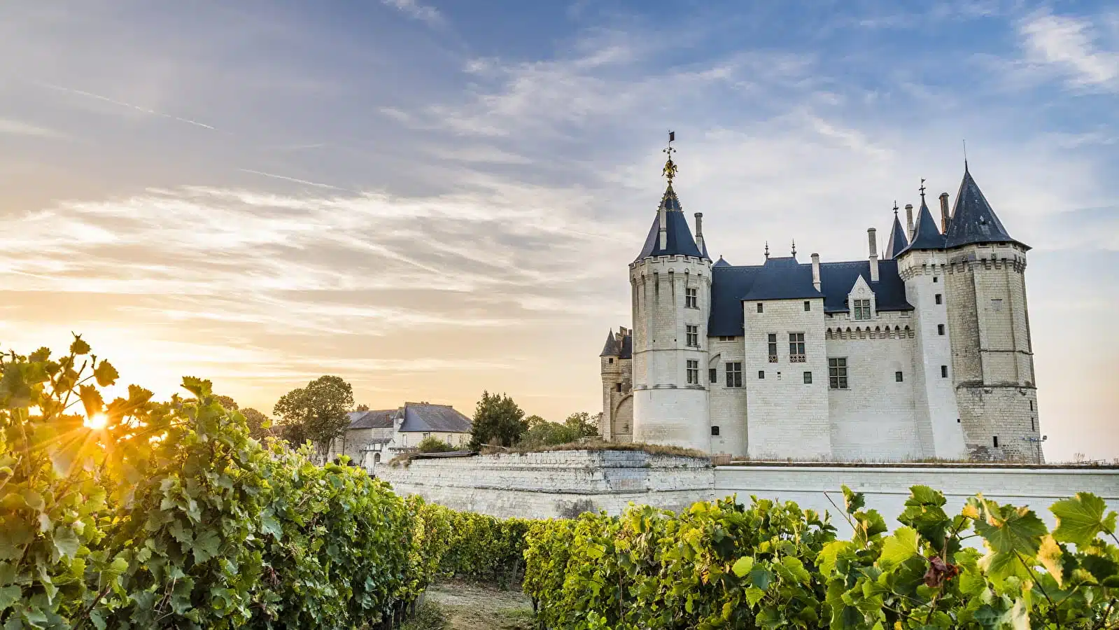 chauteau Saumur sebastien gaudard